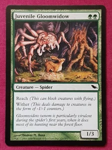 Magic The Gathering SHADOWMOOR JUVENILE GLOOMWIDOW green card MTG - Bild 1 von 2