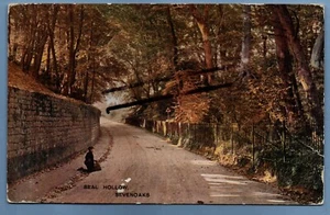POSTCARD SEAL HOLLOW ROAD SEVENOAKS KENT NR OXTED ORPINGTON WROTHAM TONBRIDGE - Picture 1 of 2