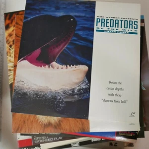 Predators Of The Wild Laserdisc Killer whale Free Shipping - Picture 1 of 2