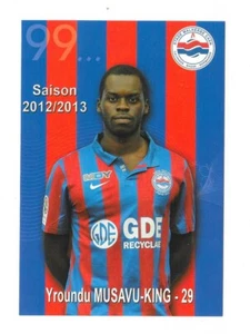 Carte 2012/13 - Yroundu Musavu-King - Défenseur - Bild 1 von 1
