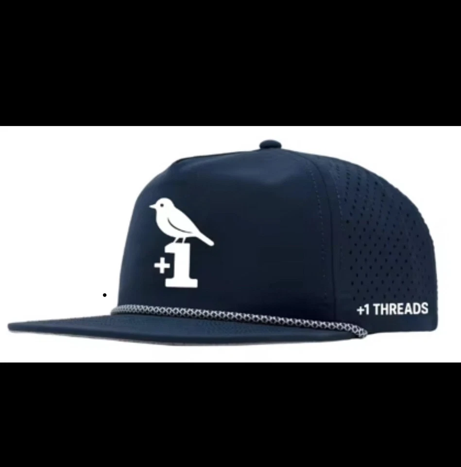 Inspired by Titleist Callaway,bad birdie golf hats for men adjustable