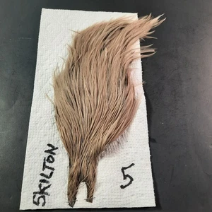 lt. Bronze Dun Dachs Trockenfliegen Hecheln Hals Cape Trockenfliegenbinden Federn #5 - Bild 1 von 6