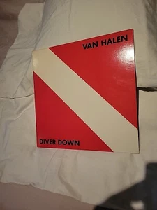 VAN HALEN - DIVER DOWN VINTAGE VINYL LP 1982 - EXCELLENT CONDITION - GREAT SOUND - Picture 1 of 6