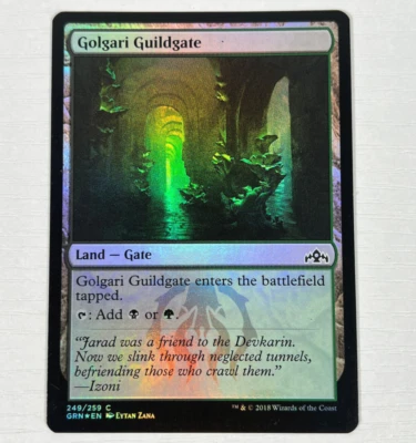 Golgari Guildgate 249/259 Common Foil Guilds of Ravnica Magic MTG Card LP - Image 1 of 4