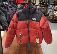 Men's The North Face 1996 Retro Nuptse 