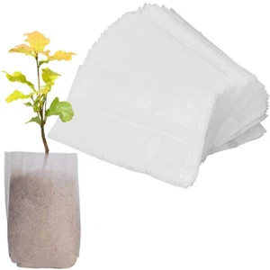 100 pièces Pochette de semences de sacs de levage de semis dégradables - Photo 1/8