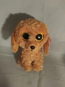 TY Beanie Boos 6" NOODLES the Golden Doodle Dog Plush Stuffed Toy - Picture 1 of 1