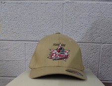 Flexfit ECHL Hockey Roanoke Express Embroidered Hat Ball Cap New