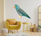 3D Parrot Wood N136 Animal Wallpaper Mural Poster Wall Stickers Decal Zoe