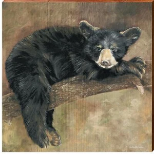 Curious Cub - Bild 1 von 10