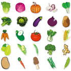 Removable Decals 100 Sheets Vegetable Refrigerator Sticker