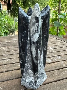 ORTHOCÉRAS, SCULPTURE, COLONNE, TOUR - MAROC - 8,5 x 20,5 - 1352 g - Foto 1 di 6