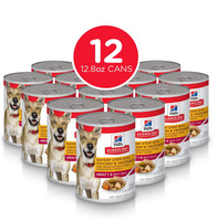 lily's kitchen wet puppy food