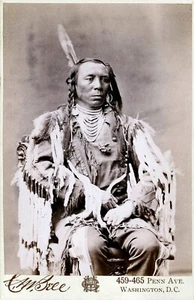 Native Indian Chief Vintage 1880 King Crow Photo Print Poster Wall Print  A4 - Picture 1 of 6