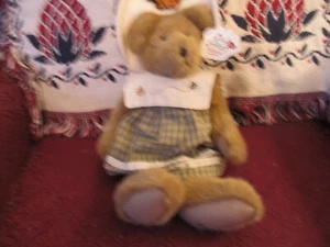 Boyd's "Erin" Plush Bear- Heart to Heart Friend - Picture 1 of 3