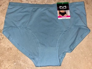 NWT Maidenform Seamless Hipster Panty Large 6 DM2308 - Picture 1 of 2