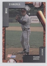 1992 Fleer ProCards Minor League Michael D'Andrea Mike D'Andrea #3171