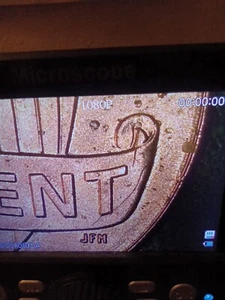 2019 LINCOLN CENT EVTL. EIN DDO 017, NICHT SICHER, CHECK MARKINGS ON THE T ON CENT - Bild 1 von 3