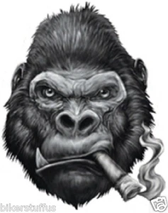 GORILLA SMOKING CIGAR BUMPER STICKER TOOLBOX STICKER LAPTOP STICKER DIE CUT - Picture 1 of 1
