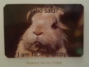 FUNNY / HUMOROUS GRUMPY RABBIT QUOTE FRIDGE MAGNET - M277 F - Picture 1 of 1