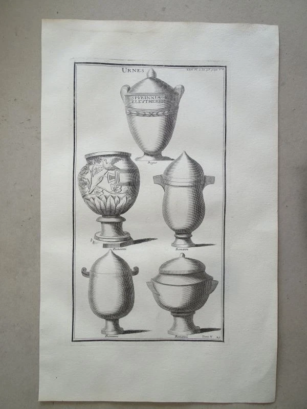 Urne Sepulcrale Taube Gefäß Antike röm. Asche- Urne Montfaucon Kupferstich 1722 - Bild 1 von 1