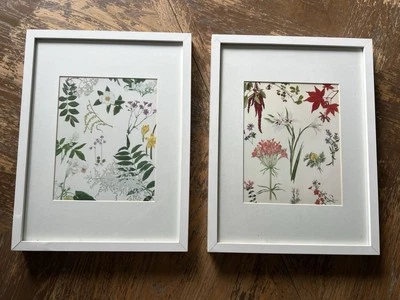 Framed Ikea Tvilling Botanical Art Prints by Cynthia Newsome-Taylor/2 - Image 1 of 4