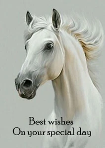 HORSE BIRTHDAY GREETINGS CARD BEAUTIFUL WHITE HORSES HEAD STUDY - Picture 1 of 1