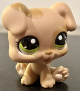 Littlest Pet Shop LPS # 1353 Tan Brown Boxer Puppy Green Eyes - Picture 1 of 6