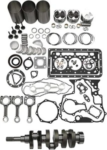 Kit de revisión del motor D902 bielas del cigüeñal se adapta a KUBOTA RTV900 - Imagen 1 de 1