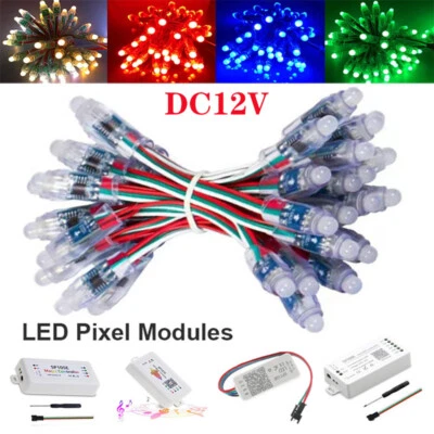LED Pixel IP68 WS2811 Digital Adressierbare 12V Traum Farbe mit Controller Power - Bild 1 von 4