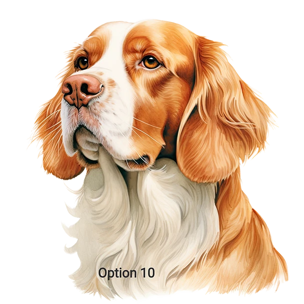 Camisetas Clumber Spaniel Raza Calidad Absorbente / Camiseta Raza Perro Foto 1 de 1