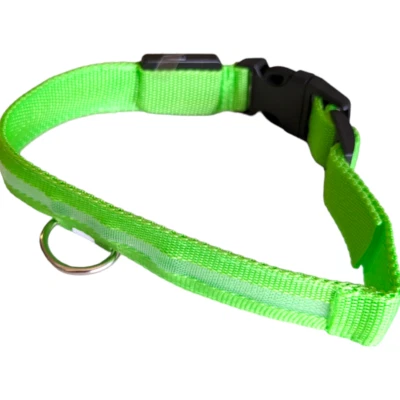 Light up Dog Collar LED Waterproof Size L Adjustable Reflective Flashing Glowing Foto 1 de 4