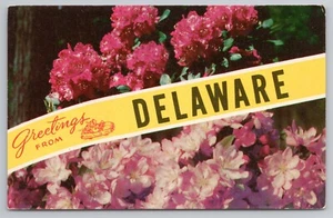 Postal de saludos desde Delaware - Imagen 1 de 2