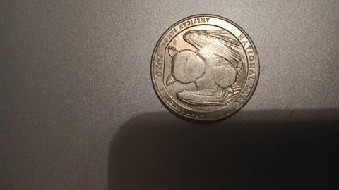 2020 D Samoa Bat Quarter, ONE OF A KIND!! BATS AND WASHINGTON HAVE face! Cover