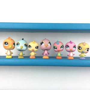 Authentic 7 Littlest Pet Shop Lot Bird Parakeet / LPS Set - Imagen 1 de 3