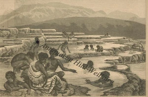 Neuseeland.Rotomahana-See.Warme Quellen.Holzstich 1880 - Bild 1 von 1