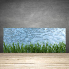 Kitchen Splashback 125x50 Tempered Glass Grass Water Nature