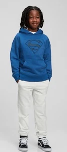 GAP SUPERMAN Raised Appliqué Hoodie Boys Size XL - Picture 1 of 7
