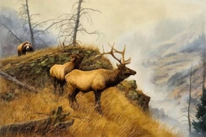 Bear and Elk I by Buck Rawlins Western Wildlife Art Print + Free Shipping - Picture 1 of 3