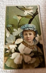 1892 Duke Floral Beauties white, violet candor  pretty lady card antique - Picture 1 of 4