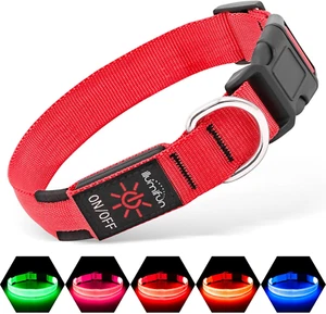 LED Dog Collar - Adjustable Light Up Dog Collar - Safety Pet Collar Light Make Y - Picture 1 of 12