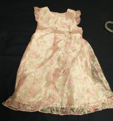 Vestido Baby Togs Niñas Sin Mangas Rosa Floral Rosas Satinado Tul Capas Fiesta 3T Foto 1 de 4
