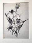 Watercolour painting of Flowers - ex Abbott & Holder - 2nd half 20th century