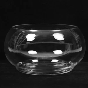 2 Count Bowl for Pond Hydroponic Pot Planter Succulent Plants Transparent Fish - Picture 1 of 12