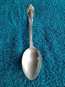 Reed & Barton Amaryllis Sterling Suppe/Service Löffel 7" 1/2 eingestellt 1900-1940 - Bild 1 von 10