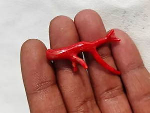 Bonsai Ramo Corallo Rosso Italiano Ramo per Fare Collana Stelle!IVF - Foto 1 di 8