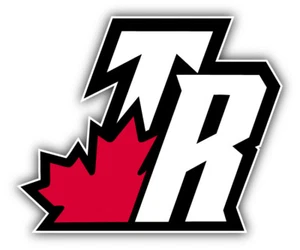 Toronto Raptort Basketball Symbol Autoaufkleber Aufkleber - 3'', 5'' oder 6'' - Bild 1 von 1