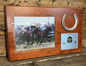 GENUINE RACE-WORN "BRAVAZO" ‘17 PREAKNESS SHOE W/COA - Trained By D. Wayne Lukas - Picture 1 of 6