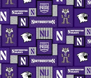 Northwestern University Patchwork Fleece Fabric-NCAA Fleece Blanket Fabric - Picture 1 of 1