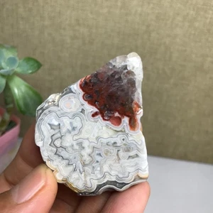 Natural Mexican agate slice Crystal gemstone Polished/rough Specimen 32g A1660 - Picture 1 of 16